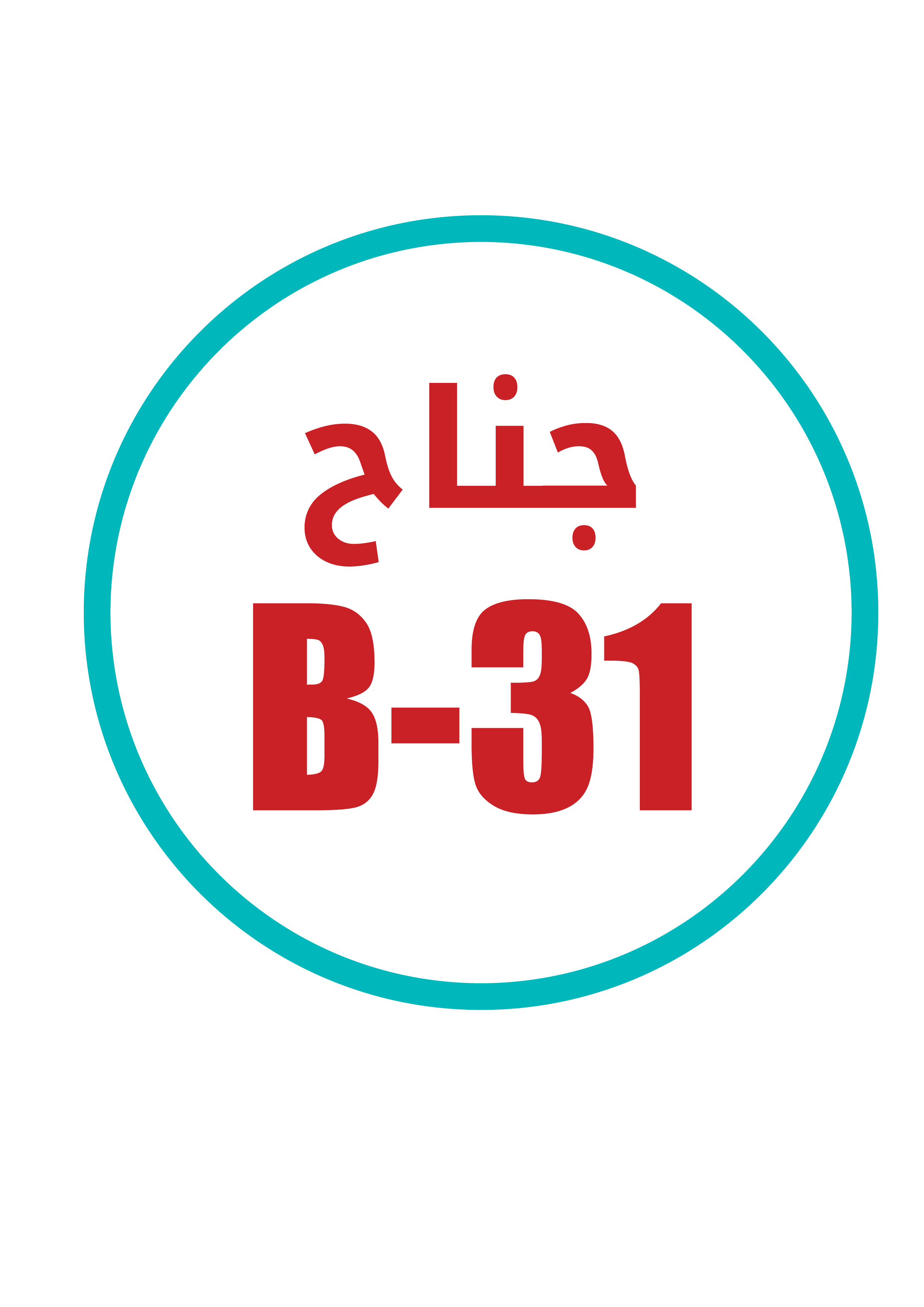 B 31